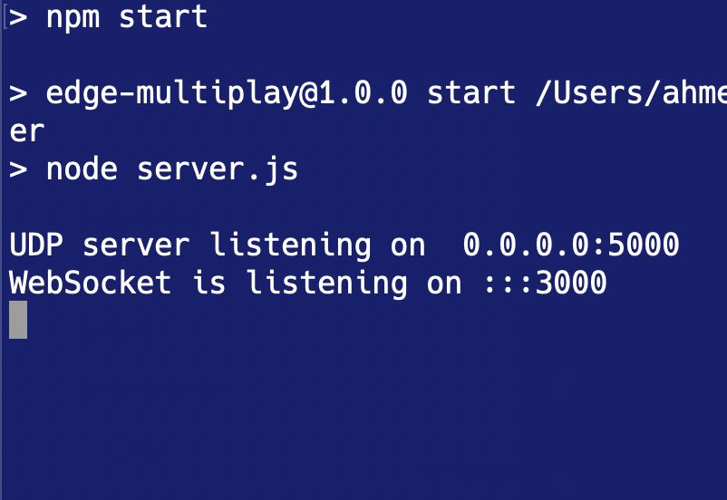 Edge Multiplay Running locally using node